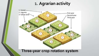 Three-year crop rotation system
1- Cereal
2- Legume
3- Fallow land
First year
Second year
Third year
1. Agrarian activity
 