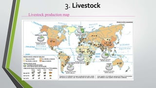 Livestock production map
3. Livestock
 
