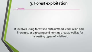It involves using forests to obtainWood, cork, resin and
firewood, as a grazing and hunting area as well as for
harvesting types of wild fruit.
Concept
3. Forest exploitation
 