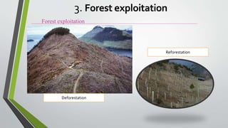 Forest exploitation
3. Forest exploitation
Deforestation
Reforestation
 