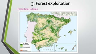 Forest lands in Spain
3. Forest exploitation
 