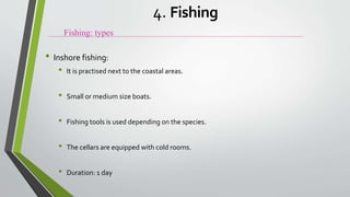 • Inshore fishing:
• It is practised next to the coastal areas.
• Small or medium size boats.
• Fishing tools is used depending on the species.
• The cellars are equipped with cold rooms.
• Duration: 1 day
Fishing: types
4. Fishing
 