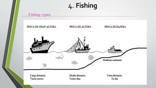 Fishing: types
4. Fishing
 