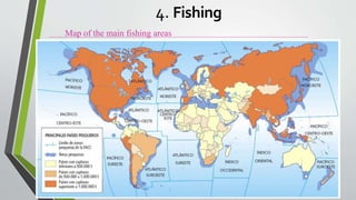 Map of the main fishing areas
4. Fishing
 