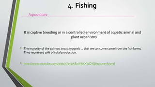 It is captive breeding or in a controlled environment of aquatic animal and
plant organisms.
• The majority of the salmon, trout, mussels ... that we consume come from the fish farms.
They represent 30% of total production.
• http://www.youtube.com/watch?v=bKE0W8KXWDY&feature=fvwrel
Aquaculture
4. Fishing
 