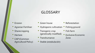 GLOSSARY
• Erosion
• Agrarian Fertiliser
• Sharecropping
• Hectare
• CAP (Common
Agricultural Policy)
• Green house
• Hydroponic cultivation
• Transgenic crop
(genetically modified)
• Transhumance
• Stable (estabulación)
• Reforestation
• Fishing ground
• Fish farm
• Exclusive Economic
Zone
 