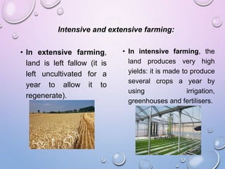 Intensive and extensive farming:
• In extensive farming,
land is left fallow (it is
left uncultivated for a
year to allow it to
regenerate).
• In intensive farming, the
land produces very high
yields: it is made to produce
several crops a year by
using irrigation,
greenhouses and fertilisers.
 