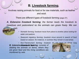 B. Livestock farming.
Involves raising animals for food or for raw materials, such as leather
and wool.
There are different types of livestock farming (page 27):
A. Extensive livestock farming: the farmer leads the livestock to
meadows and pastureland so the animals can graze freely. We can
distinguish:
• Nomadic farming: livestock move from place to another place looking for
water and pasture.
• Seasonal migratory farming: livestock move around in search of food
based on season; for instance, in summer they remain in cool areas.
• Non-Transhumant farming: livestock do not have to travel long
distances to feed.B. Intensive livestock farming: consists of
stabling the animals on farms, where they
are given feed and the living conditions are
monitored by vets.
 