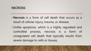 NECROSIS
• Necrosis is a form of cell death that occurs as a
result of cellular injury, trauma, or disease.
• Unlike apoptosis, which is a highly regulated and
controlled process, necrosis is a form of
unregulated cell death that typically results from
severe damage to cells or tissues.
 