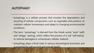 AUTOPHAGY
• Autophagy is a cellular process that involves the degradation and
recycling of cellular components, such as organelles and proteins, to
maintain cellular homeostasis and adapt to changing environmental
conditions.
• The term "autophagy" is derived from the Greek words "auto" (self)
and "phagy" (eating), which reflect the process of a cell "self-eating"
to remove damaged or unnecessary cellular material.
• Autophagy plays critical roles in various physiological processes and
is essential for cell survival and overall health.
 