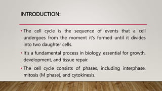 INTRODUCTION:
• The cell cycle is the sequence of events that a cell
undergoes from the moment it's formed until it divides
into two daughter cells.
• It's a fundamental process in biology, essential for growth,
development, and tissue repair.
• The cell cycle consists of phases, including interphase,
mitosis (M phase), and cytokinesis.
 