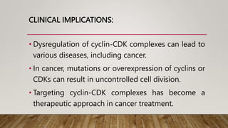 CLINICAL IMPLICATIONS:
• Dysregulation of cyclin-CDK complexes can lead to
various diseases, including cancer.
• In cancer, mutations or overexpression of cyclins or
CDKs can result in uncontrolled cell division.
• Targeting cyclin-CDK complexes has become a
therapeutic approach in cancer treatment.
 