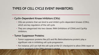 TYPES OF CELL CYCLE EVENT INHIBITORS:
• Cyclin-Dependent Kinase Inhibitors (CKIs):
• CKIs are proteins that can bind to and inhibit cyclin-dependent kinases (CDKs),
which are key regulators of the cell cycle.
• They are categorized into two classes: INK4 (Inhibitors of CDK4) and Cip/Kip
inhibitors.
• Tumor Suppressor Proteins:
• Tumor suppressor proteins like p53 and Rb (Retinoblastoma protein) play a
significant role in inhibiting cell cycle progression.
• For instance, p53 can halt the cell cycle at the G1 checkpoint to allow DNA repair or
induce apoptosis if the DNA damage is severe.
 