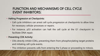 FUNCTION AND MECHANISMS OF CELL CYCLE
EVENT INHIBITORS:
• Halting Progression at Checkpoints:
• Cell cycle inhibitors can arrest cell cycle progression at checkpoints to allow time
for necessary cellular processes or repairs.
• For instance, p53 activation can halt the cell cycle at the G1 checkpoint to
facilitate DNA repair.
• Preventing CDK Activity:
• CKIs directly inhibit CDKs, preventing them from phosphorylating target proteins
and initiating cell cycle events.
• This inhibition prevents cells from entering the S phase or proceeding to mitosis.
 