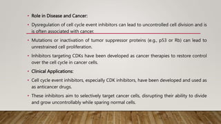 • Role in Disease and Cancer:
• Dysregulation of cell cycle event inhibitors can lead to uncontrolled cell division and is
is often associated with cancer.
• Mutations or inactivation of tumor suppressor proteins (e.g., p53 or Rb) can lead to
unrestrained cell proliferation.
• Inhibitors targeting CDKs have been developed as cancer therapies to restore control
over the cell cycle in cancer cells.
• Clinical Applications:
• Cell cycle event inhibitors, especially CDK inhibitors, have been developed and used as
as anticancer drugs.
• These inhibitors aim to selectively target cancer cells, disrupting their ability to divide
and grow uncontrollably while sparing normal cells.
 