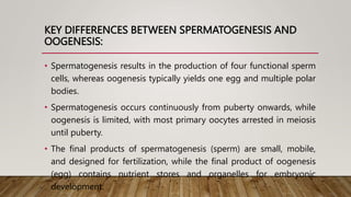 KEY DIFFERENCES BETWEEN SPERMATOGENESIS AND
OOGENESIS:
• Spermatogenesis results in the production of four functional sperm
cells, whereas oogenesis typically yields one egg and multiple polar
bodies.
• Spermatogenesis occurs continuously from puberty onwards, while
oogenesis is limited, with most primary oocytes arrested in meiosis
until puberty.
• The final products of spermatogenesis (sperm) are small, mobile,
and designed for fertilization, while the final product of oogenesis
(egg) contains nutrient stores and organelles for embryonic
development.
 