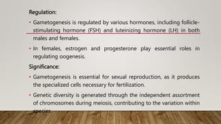 Regulation:
• Gametogenesis is regulated by various hormones, including follicle-
stimulating hormone (FSH) and luteinizing hormone (LH) in both
males and females.
• In females, estrogen and progesterone play essential roles in
regulating oogenesis.
Significance:
• Gametogenesis is essential for sexual reproduction, as it produces
the specialized cells necessary for fertilization.
• Genetic diversity is generated through the independent assortment
of chromosomes during meiosis, contributing to the variation within
species.
 