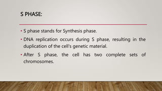 S PHASE:
• S phase stands for Synthesis phase.
• DNA replication occurs during S phase, resulting in the
duplication of the cell's genetic material.
• After S phase, the cell has two complete sets of
chromosomes.
 