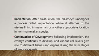 • Implantation: After blastulation, the blastocyst undergoes
a process called implantation, where it attaches to the
uterine lining in mammals or another appropriate location
in non-mammalian species.
• Continuation of Development: Following implantation, the
embryo continues to develop, and various cell layers give
rise to different tissues and organs during the later stages
of embryogenesis.
 