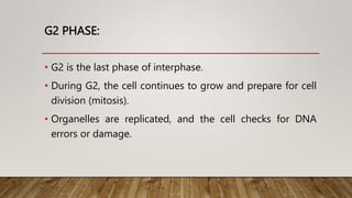 G2 PHASE:
• G2 is the last phase of interphase.
• During G2, the cell continues to grow and prepare for cell
division (mitosis).
• Organelles are replicated, and the cell checks for DNA
errors or damage.
 