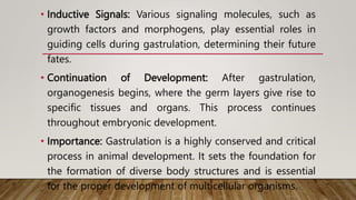 • Inductive Signals: Various signaling molecules, such as
growth factors and morphogens, play essential roles in
guiding cells during gastrulation, determining their future
fates.
• Continuation of Development: After gastrulation,
organogenesis begins, where the germ layers give rise to
specific tissues and organs. This process continues
throughout embryonic development.
• Importance: Gastrulation is a highly conserved and critical
process in animal development. It sets the foundation for
the formation of diverse body structures and is essential
for the proper development of multicellular organisms.
 