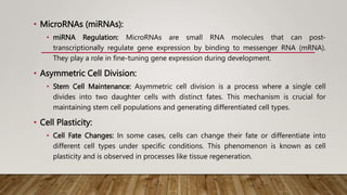 • MicroRNAs (miRNAs):
• miRNA Regulation: MicroRNAs are small RNA molecules that can post-
transcriptionally regulate gene expression by binding to messenger RNA (mRNA).
They play a role in fine-tuning gene expression during development.
• Asymmetric Cell Division:
• Stem Cell Maintenance: Asymmetric cell division is a process where a single cell
divides into two daughter cells with distinct fates. This mechanism is crucial for
maintaining stem cell populations and generating differentiated cell types.
• Cell Plasticity:
• Cell Fate Changes: In some cases, cells can change their fate or differentiate into
different cell types under specific conditions. This phenomenon is known as cell
plasticity and is observed in processes like tissue regeneration.
 