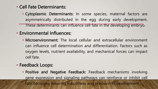 • Cell Fate Determinants:
• Cytoplasmic Determinants: In some species, maternal factors are
asymmetrically distributed in the egg during early development.
These determinants can influence cell fate in the developing embryo.
• Environmental Influences:
• Microenvironment: The local cellular and extracellular environment
can influence cell determination and differentiation. Factors such as
oxygen levels, nutrient availability, and mechanical forces can impact
cell fate.
• Feedback Loops:
• Positive and Negative Feedback: Feedback mechanisms involving
gene expression and signaling pathways can reinforce or inhibit cell
fate decisions, ensuring robustness and precision in development.
 