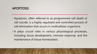 APOPTOSIS
• Apoptosis, often referred to as programmed cell death or
cell suicide, is a highly regulated and controlled process of
cell elimination that occurs in multicellular organisms.
• It plays crucial roles in various physiological processes,
including tissue development, immune response, and the
maintenance of tissue homeostasis.
 