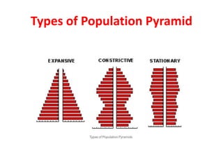 Types of Population Pyramid
 
