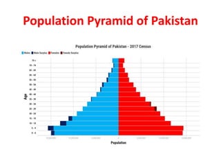 Population Pyramid of Pakistan
 