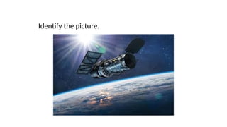 Identify the picture.
 