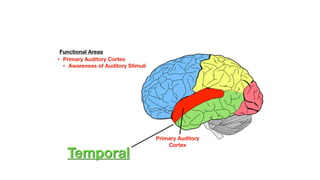 unit 6-cognitive process.pptx for bsc nursing 1st yr | PPTX