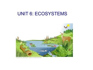 UNIT 6: ECOSYSTEMS

 