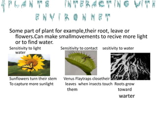 Some part of plant for example,their root, leave or
  flowers.Can make smallmovements to recive more light
  or to find water.
Sensitivity to light         Sensitivity to contact   sesitivity to water
   water




Sunflowers turn their stem    Venus Flaytraps closetheir
To capture more sunlight       leaves when insects touch Roots grow
                                them                           toward
                                                               warter
 