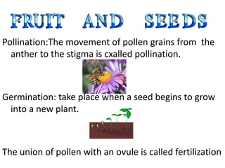 Pollination:The movement of pollen grains from the
  anther to the stigma is cxalled pollination.



Germination: take place when a seed begins to grow
 into a new plant.



The union of pollen with an ovule is called fertilization
 