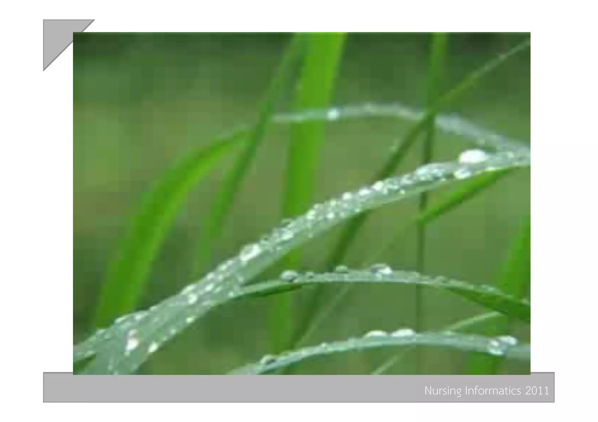 Nursing Informatics 2011 
 