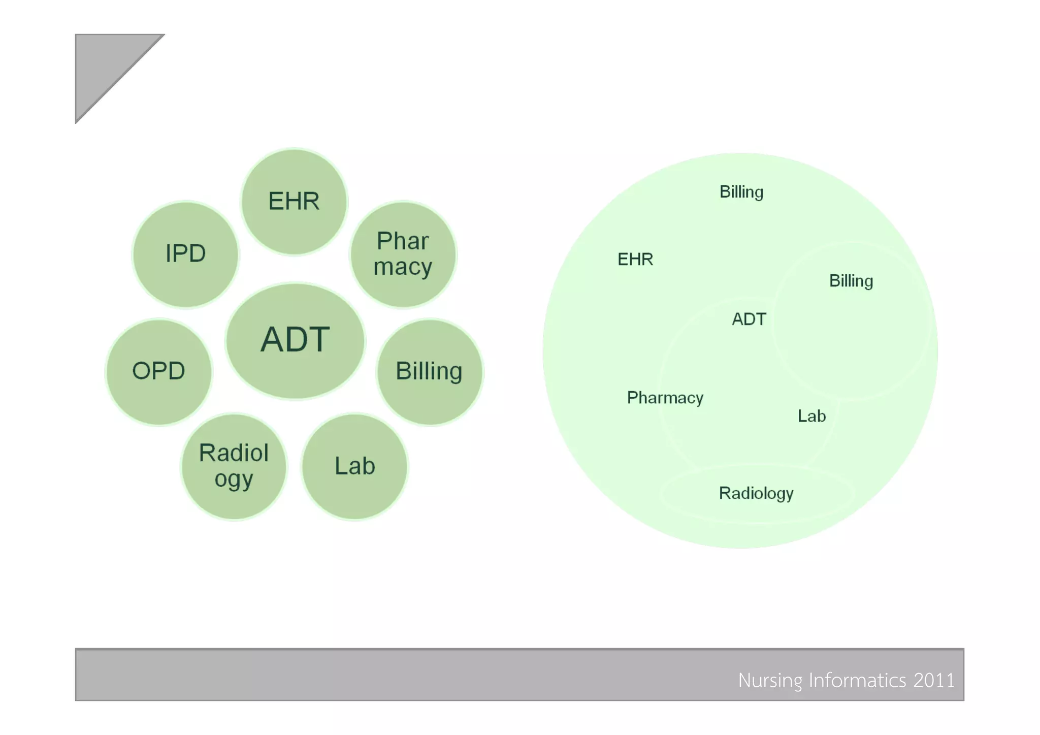 Nursing Informatics 2011 
 