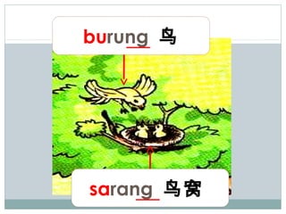burung 鸟




sarang 鸟窝
 