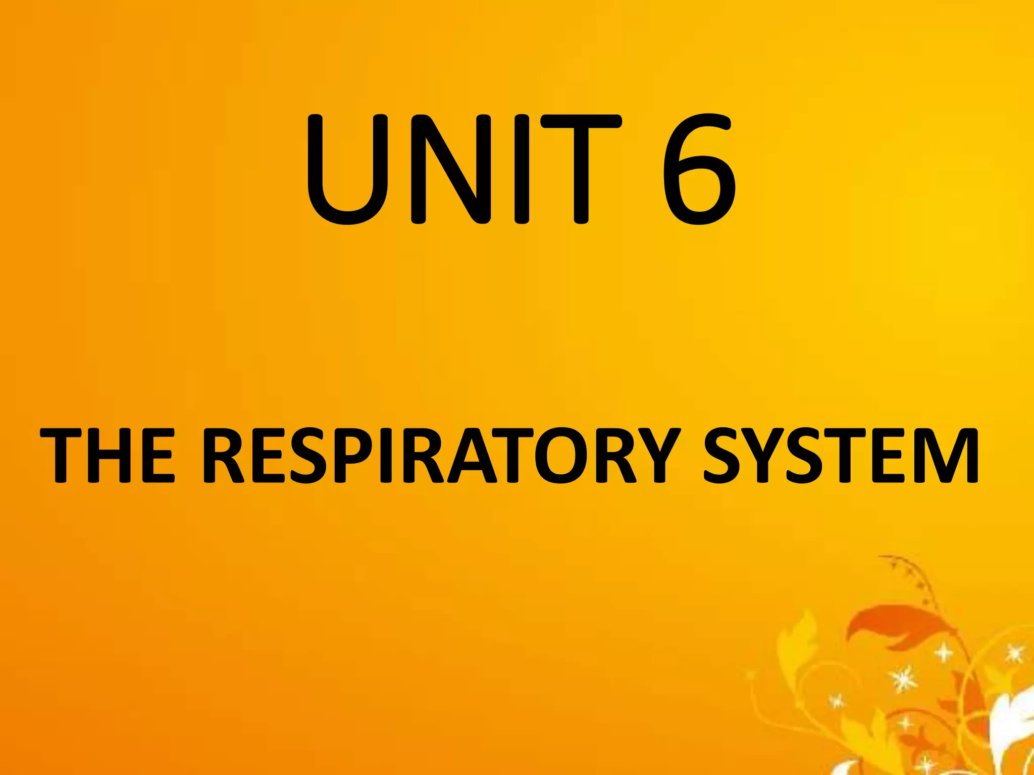UNIT 6-respiratory system for Gnm and b.sc. nursing | PPTX