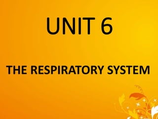 UNIT 6
THE RESPIRATORY SYSTEM
 
