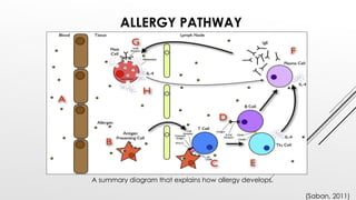 ALLERGY PATHWAY
A summary diagram that explains how allergy develops.
(Saban, 2011)
 