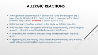 ALLERGIC REACTIONS
 Although mast cells are found in connective tissue and basophils are a
type of white blood cell, they have one thing in common to the allergy
sufferer - They contain histamine (Campbell & Reece, 2010).
 Histamine is an important weapon in the body for fighting infection.
 Unfortunately, when released into the body inappropriately or in too high a
quantity, histamine is a potentially devastating substance.
 In small amounts, histamine causes itching and reddening of the local
area.
 In large amounts, the nearby blood vessels become dilated and the area
swells with accumulated fluid (Health.howstuffworks.com).
 