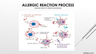 ALLERGIC REACTION PROCESS
(KNOW HOW TO DRAW DIAGRAM)
zahlers.com
 