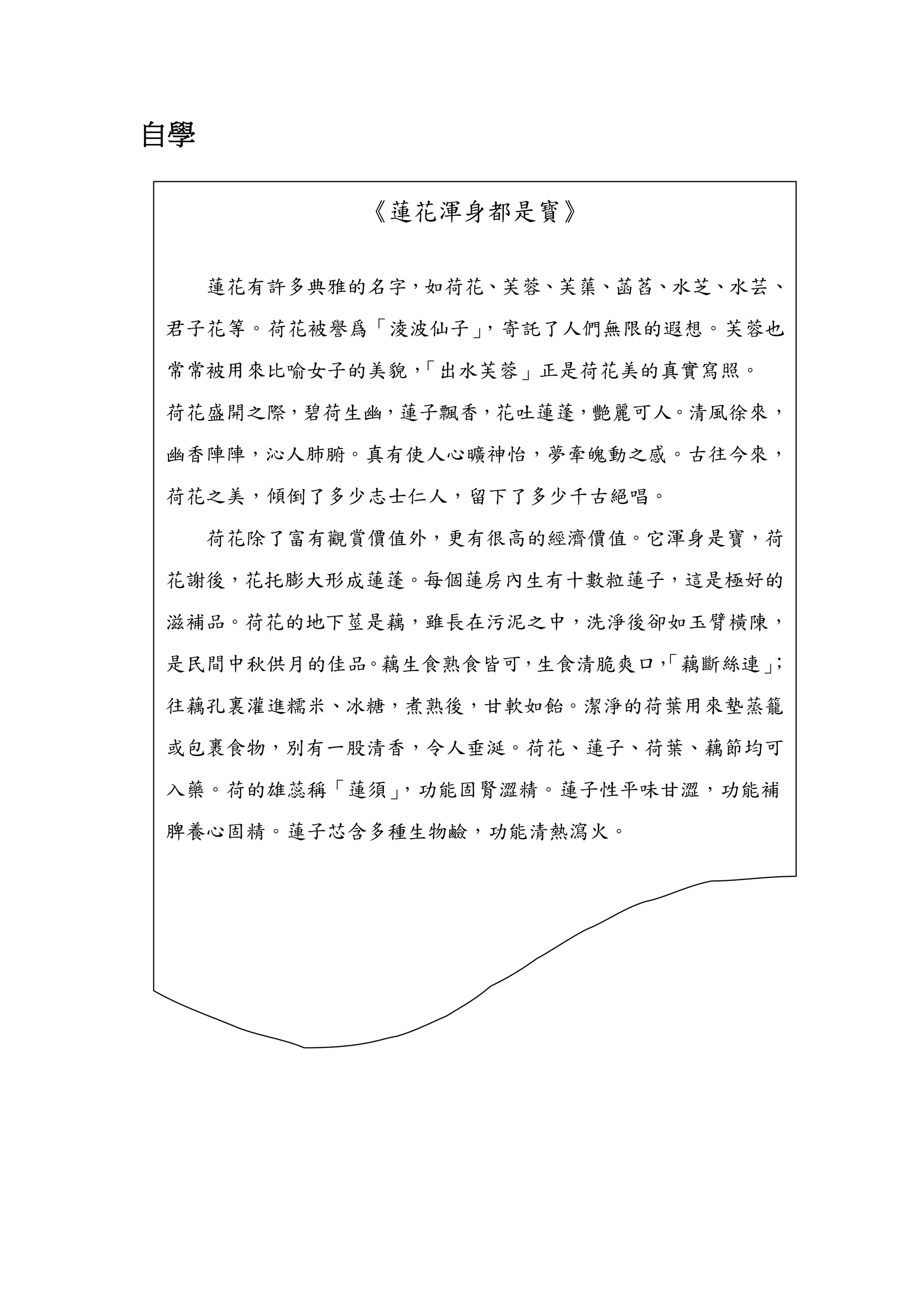自學
《蓮花渾身都是寳》
蓮花有許多典雅的名字，如荷花、芙蓉、芙蕖、菡萏、水芝、水芸、
君子花等。荷花被譽爲「淩波仙子」，寄託了人們無限的遐想。芙蓉也
常常被用來比喻女子的美貌，「出水芙蓉」正是荷花美的真實寫照。
荷花盛開之際，碧荷生幽，蓮子飄香，花吐蓮蓬，艷麗可人。清風徐來，
幽香陣陣，沁人肺腑。真有使人心曠神怡，夢牽魄動之感。古往今來，
荷花之美，傾倒了多少志士仁人，留下了多少千古絕唱。
荷花除了富有觀賞價值外，更有很高的經濟價值。它渾身是寶，荷
花謝後，花托膨大形成蓮蓬。每個蓮房內生有十數粒蓮子，這是極好的
滋補品。荷花的地下莖是藕，雖長在污泥之中，洗淨後卻如玉臂橫陳，
是民間中秋供月的佳品。藕生食熟食皆可，生食清脆爽口，「藕斷絲連」；
往藕孔裏灌進糯米、冰糖，煮熟後，甘軟如飴。潔淨的荷葉用來墊蒸籠
或包裹食物，別有一股清香，令人垂涎。荷花、蓮子、荷葉、藕節均可
入藥。荷的雄蕊稱「蓮須」，功能固腎澀精。蓮子性平味甘澀，功能補
脾養心固精。蓮子芯含多種生物鹼，功能清熱瀉火。
 
