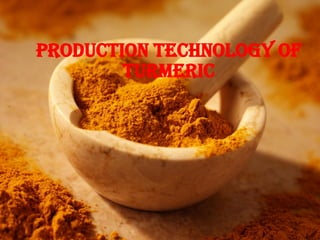 PRODUCTION TECHNOLOGY OF
Turmeric
 