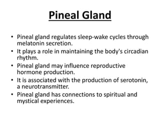Pineal Gland
• Pineal gland regulates sleep-wake cycles through
melatonin secretion.
• It plays a role in maintaining the body's circadian
rhythm.
• Pineal gland may influence reproductive
hormone production.
• It is associated with the production of serotonin,
a neurotransmitter.
• Pineal gland has connections to spiritual and
mystical experiences.
 