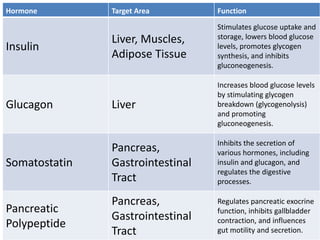 Hormone Target Area Function
Insulin
Liver, Muscles,
Adipose Tissue
Stimulates glucose uptake and
storage, lowers blood glucose
levels, promotes glycogen
synthesis, and inhibits
gluconeogenesis.
Glucagon Liver
Increases blood glucose levels
by stimulating glycogen
breakdown (glycogenolysis)
and promoting
gluconeogenesis.
Somatostatin
Pancreas,
Gastrointestinal
Tract
Inhibits the secretion of
various hormones, including
insulin and glucagon, and
regulates the digestive
processes.
Pancreatic
Polypeptide
Pancreas,
Gastrointestinal
Tract
Regulates pancreatic exocrine
function, inhibits gallbladder
contraction, and influences
gut motility and secretion.
 