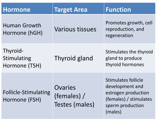 Hormone Target Area Function
Human Growth
Hormone (hGH)
Various tissues
Promotes growth, cell
reproduction, and
regeneration
Thyroid-
Stimulating
Hormone (TSH)
Thyroid gland
Stimulates the thyroid
gland to produce
thyroid hormones
Follicle-Stimulating
Hormone (FSH)
Ovaries
(females) /
Testes (males)
Stimulates follicle
development and
estrogen production
(females) / stimulates
sperm production
(males)
 