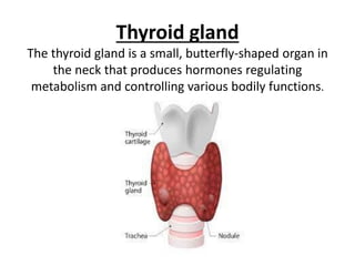 Thyroid gland
The thyroid gland is a small, butterfly-shaped organ in
the neck that produces hormones regulating
metabolism and controlling various bodily functions.
 