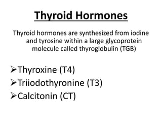 Thyroid Hormones
Thyroid hormones are synthesized from iodine
and tyrosine within a large glycoprotein
molecule called thyroglobulin (TGB)
Thyroxine (T4)
Triiodothyronine (T3)
Calcitonin (CT)
 